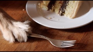 MARGOT AND PERALTA TALK | LITTLE BIT