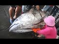 Giant Bluefin Tuna cutting for Sashimi  Donggang fish market Taiwan