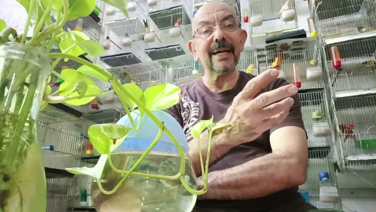 الحلقة ٢/ سلبيات بدايات موسم الأنتاج ( صلو على الحبيب)