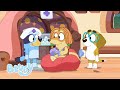 ブルーイとビンゴの仲間たち | ブルーイ - 日本公式チャンネル - Bluey