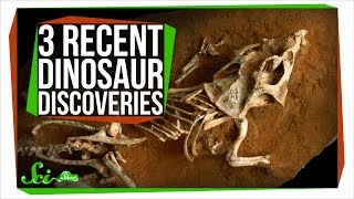 3 Mind-Blowing Recent Dinosaur Discoveries