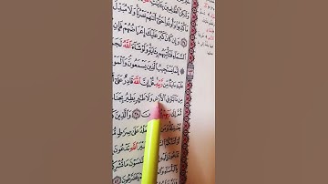سورة الانعام 38