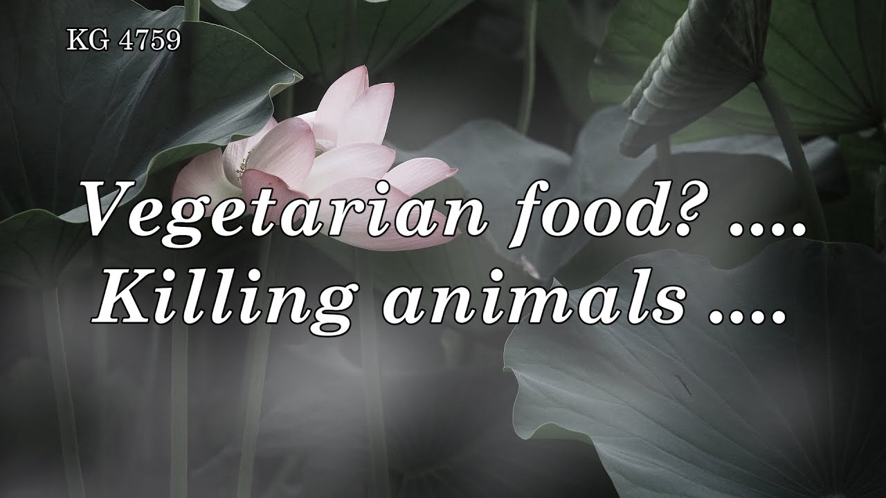 BD 4759 - VEGETARIAN FOOD? .... KILLING ANIMALS .... - YouTube