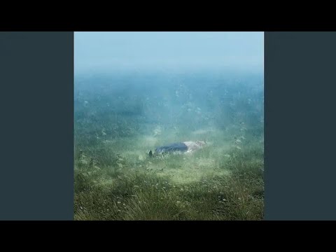 Moby, Øneheart, leadwave, Dean Korso - lagrange point