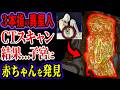 【ゆっくり解説】衝撃の展開…ペルーの異星人ミイラ、CTスキャンの結果…子宮に胎児の存在を確認…ヤバすぎる事実…!!!【UMA・未確認生物】