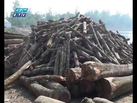 ভিডিও: Zlatoust এর Taganay- এ, একটি অজানা হাত কিলোমিটার বন কেটে ফেলেছিল