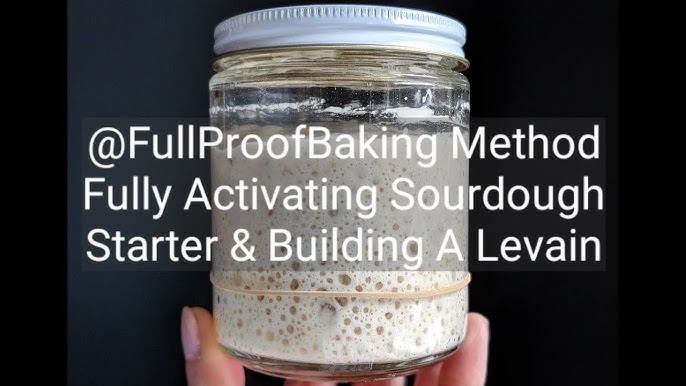 Full Proof Baking Sourdough Starter Tutorial 