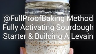 Full Proof Baking Live Stream 