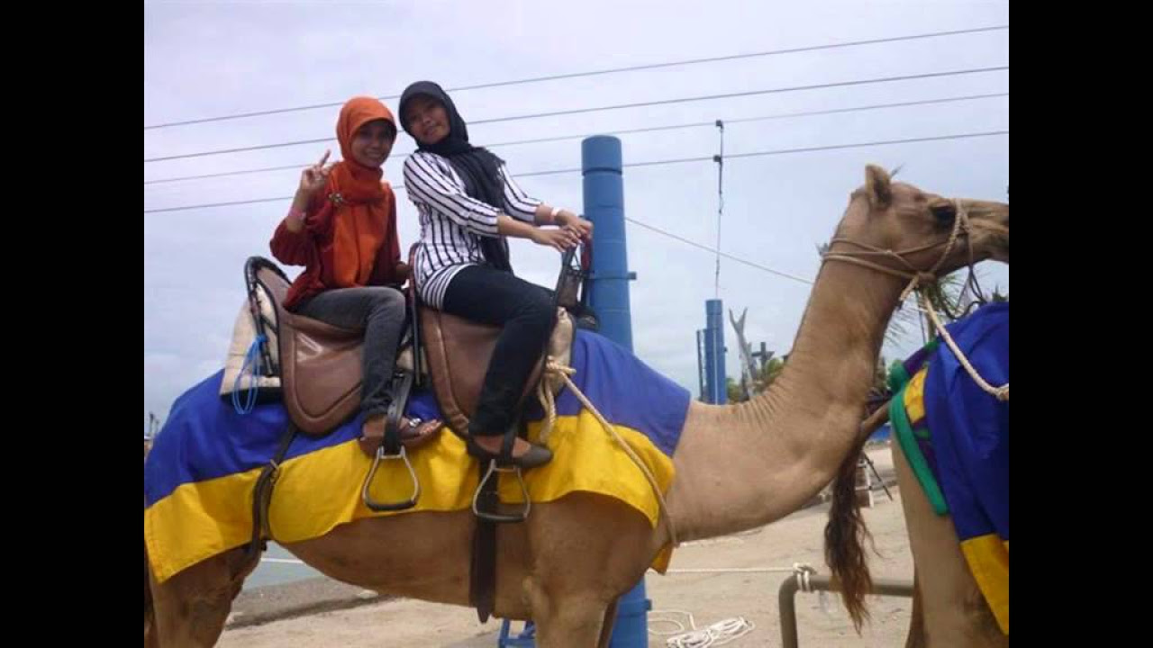 Fiv Cards Miracle - kenangan terindah