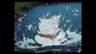 Disney's Quack Pack | Television Commercial (1996)
