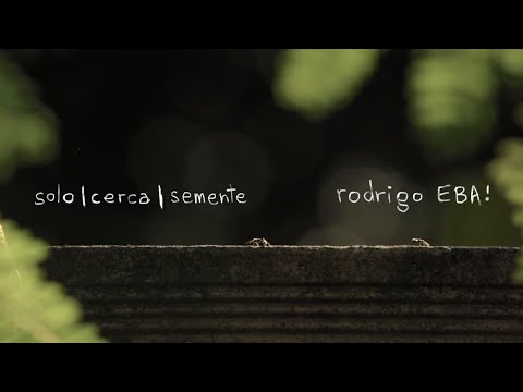 solo | cerca | semente - Rodrigo EBA! - clipe