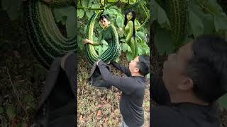 Yoldan Aldığım Salatalık Biraz Utangaç. Salatalık Cep Telefonu Özel Efektler