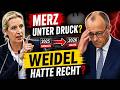 🚨 2025 sagte Weidel DAS – heute reden alle darüber 🚨