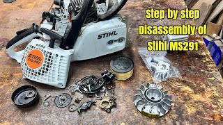 Disassembling this Stihl MS291 full tutorial.