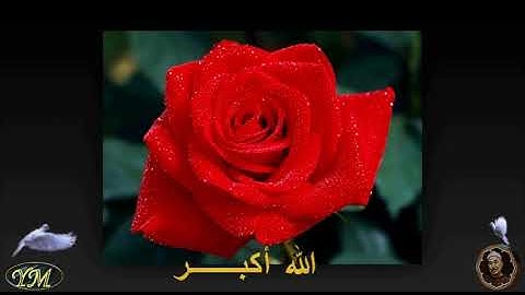 44 سورة الدخان كاملة للقارئ الشيخ محمد الطبلاوي