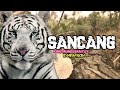 DJ SUNDA SANTUY  - SANCANG (Ceunah Ceuk Beja) - Yayan Jatnika by ID NEW SKIN 🔥