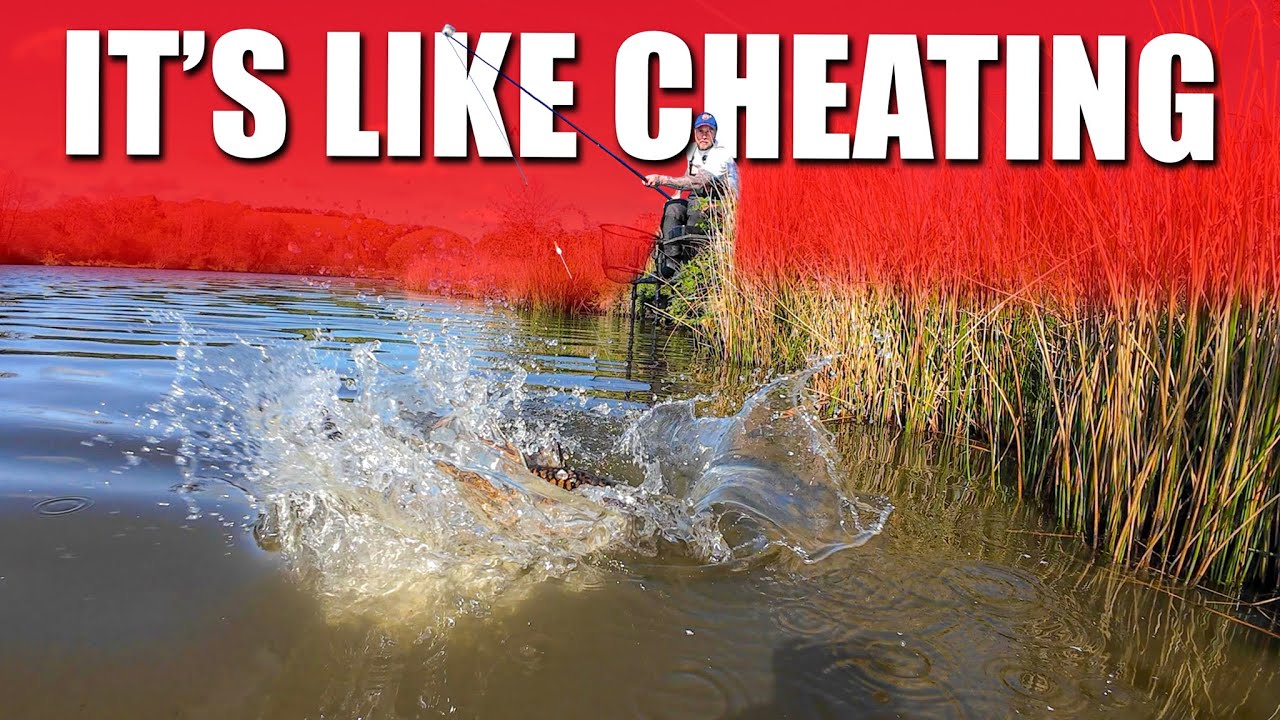 Cheat Code- MEAT MUSH for CARP!