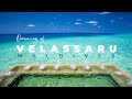 Velassaru Maldives Full Video. A Dream Hotel for Honeymooners #Maldives #Luxury #VelassaruMaldives