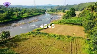 Angel Numbers (4545 Meaning)