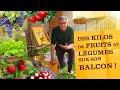 Créer un potager sur son balcon et récolter des kilos de fruits & légumes ! Quoi planter, comment...