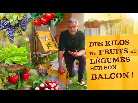 Vidéo: Plantez un jardin à cocktails – Utilisez des fruits, des légumes et des herbes dans des contenants