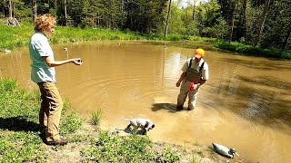 Puppy Introduction to Water by Paul Fuller 2,122 views 1 year ago 20 minutes