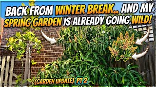 Back From Winter Break… Part 2