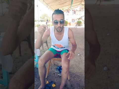 عفاريت الاسفلت ويجز