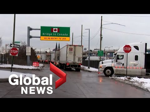 Trucker protests: Ambassador Bridge connecting Windsor to Detroit sees long delays