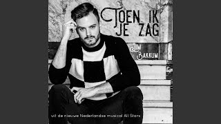 Video thumbnail of "Jim Bakkum - Toen Ik Je Zag"