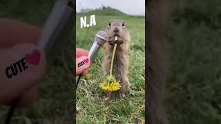 Short#the interview of $quirrel is on😅😂#youtube#shorts#youtube viral# NamalAli