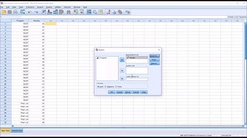 One-Sample T Test in SPSS with Assumption Testing