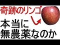 無農薬の奇跡のリンゴを入手！本当に農薬は使っていないのか実験