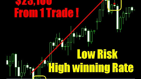 Forex Robots Makes 10000 a day on auto pilot Automated Forex Trading Software