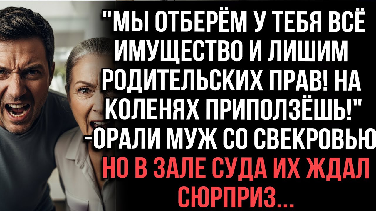 "Отберём всё и лишим прав!" — орали муж со свекровью. Но в суде их ждал сюрприз...