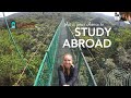 San Diego State University (SDSU) Study Abroad Info Session | Arcos Learning Abroad