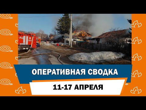 Количество реагирований пожарно-спасательных подразделений МЧС России увеличилось в шесть раз