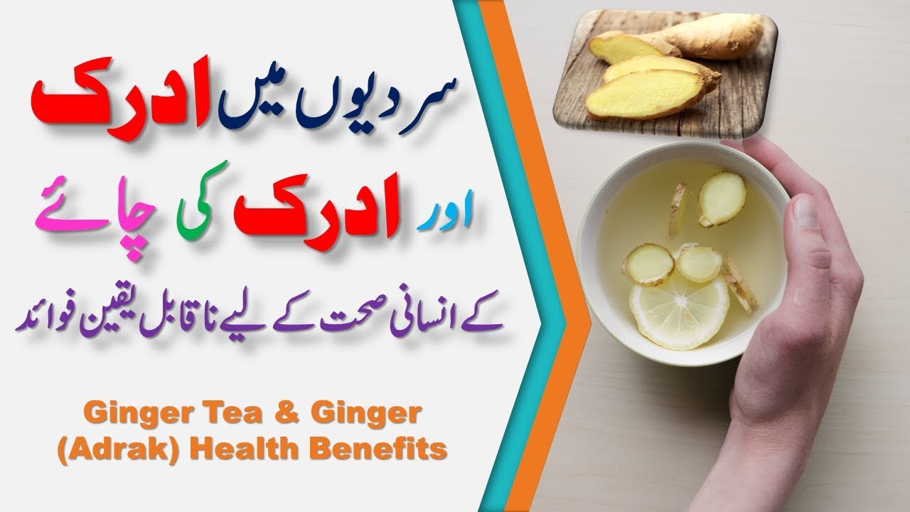 Ginger Tea & Ginger (Adrak) Health Benefits In Winter (Hindi / Urdu