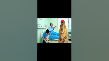 Capy cùng anh nấu cơm giúp bà và cái kết #capybara #vuive #giaitri#cuocsongcuacapy