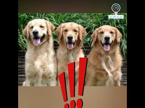 الشخص المناسب في المكان المناسب 