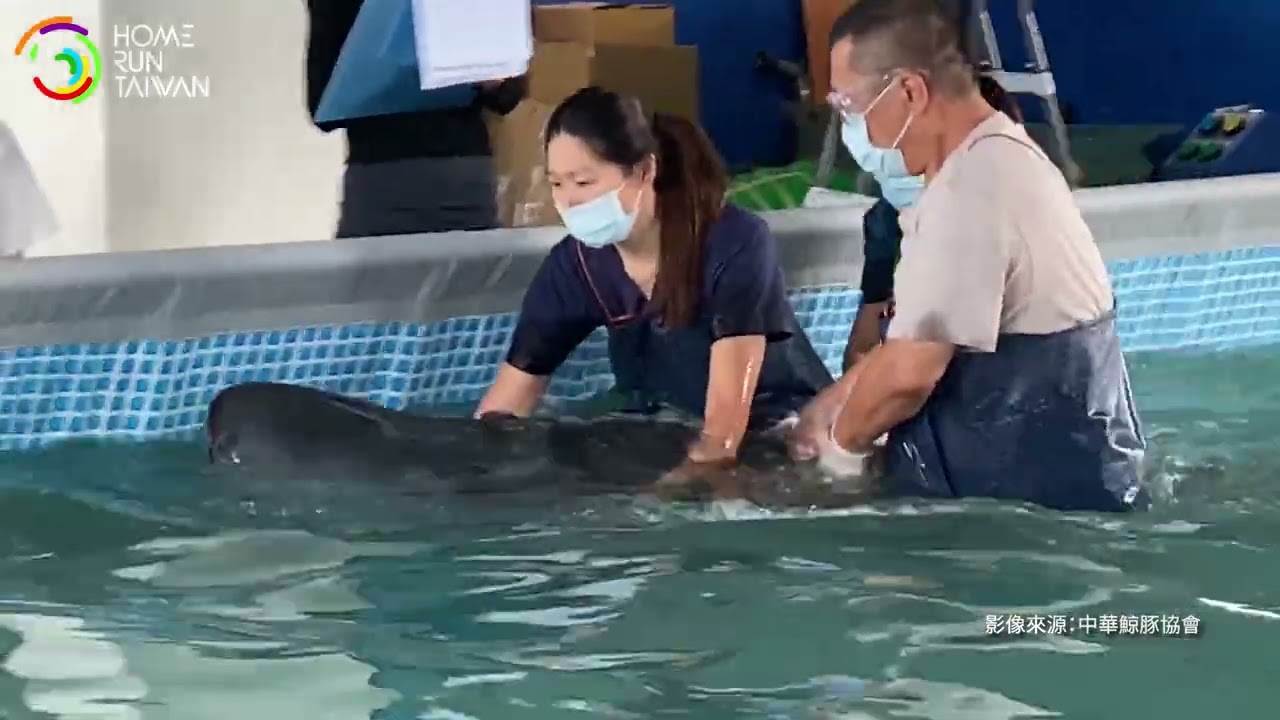 (金鵰獎) 陪你到游回大海的那天 縮圖