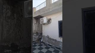 Best movment capture birds nesting 🪹 Eggs laying 🥚🥚 #viral #birds #adoreble #cute #reels #eggs