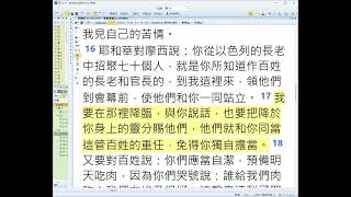 民數記11:16-30 有限的僕人、悖逆的慾望與聖靈所賜的同工