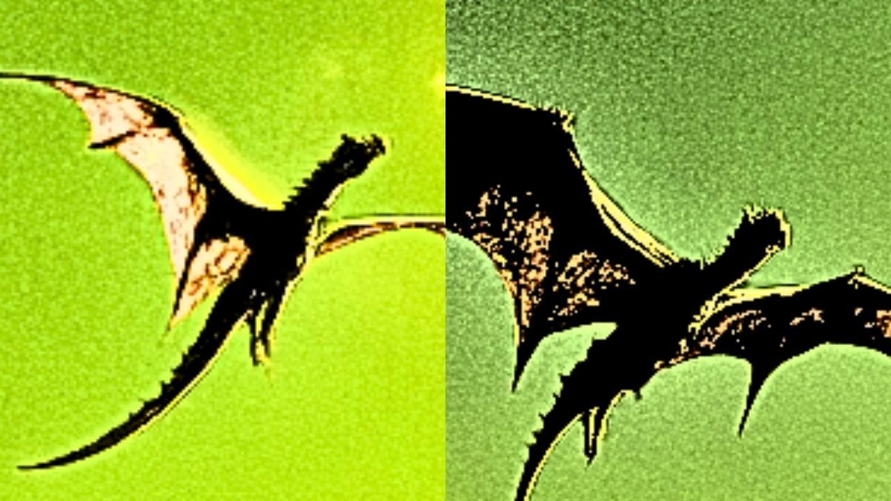 Shocking Discovery: Clearest Image of Proxima b Revealed Like Never Before!