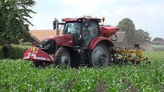 Mais Onderzaaien Met Case Ih Maum 125 En Busa Roterende Schoffel - Zandman Beerze 2019