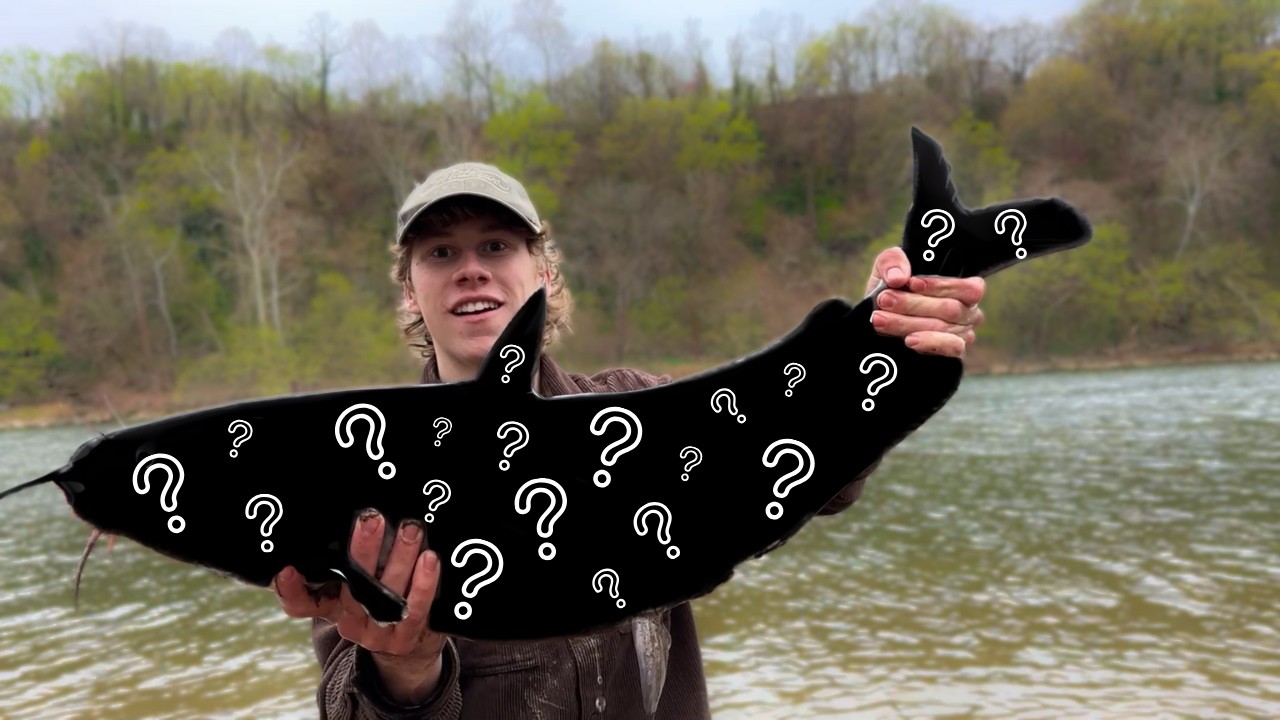 Millions of Fish are Swimming up this River!! (NON-STOP ACTION!)