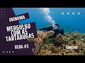VLOG EM OKINAWA PARTE 3 - MERGULHO EM KERAMA