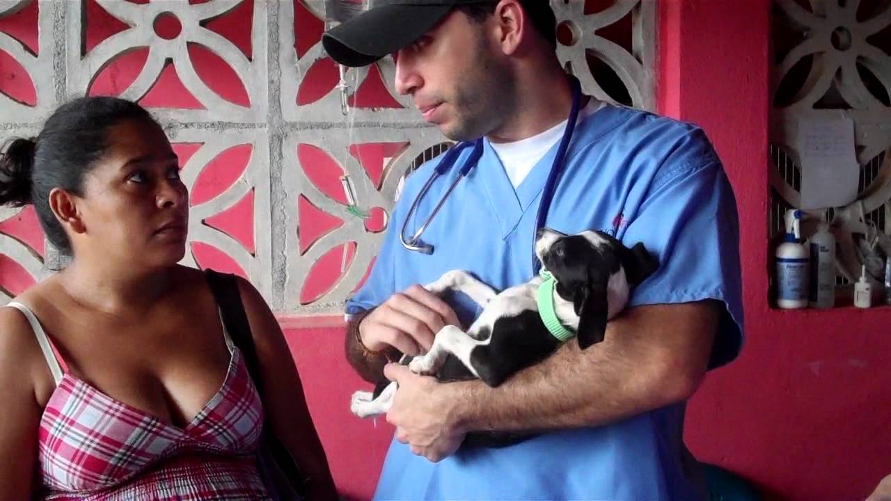 World Vets Final Video