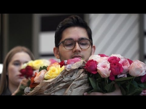 Video: Fejring af kvindedagen – bedste internationale kvindedag-blomster