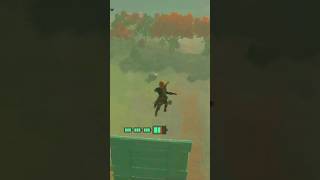 YAHAHA Day 133 of Helping Koroks - Zelda TOTK